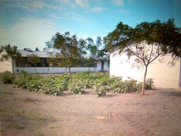 Geflügelfarm bei Bagamoyo in Tansania zum Kaufen