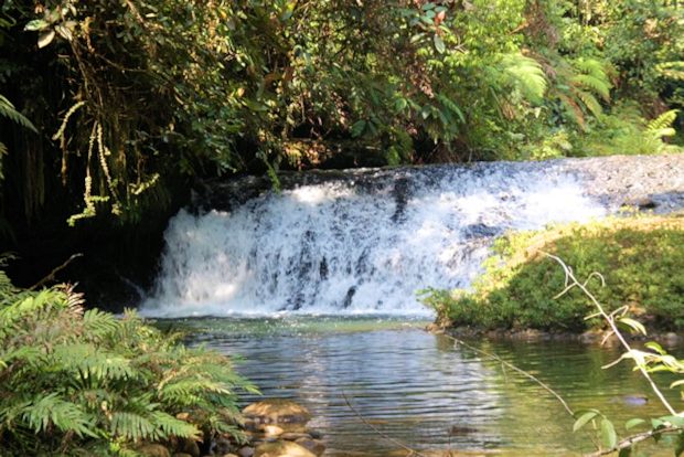 kleiner Wasserfall vom Fluss des Regenwaldes in Ecuador