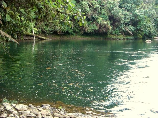 Lagune im Urwald von Ecuador