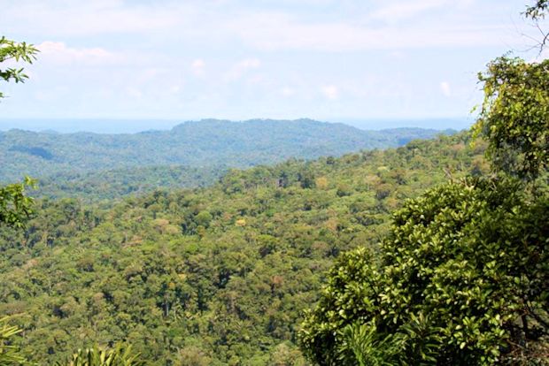 Urwald Grundstck in Ecuador zum Kaufen