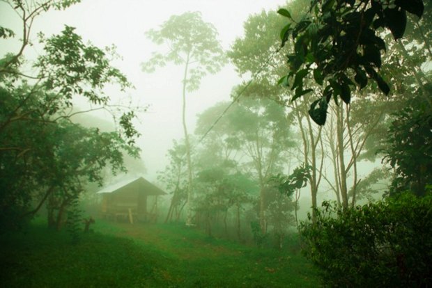 Huser im Regenwald von Ecuador