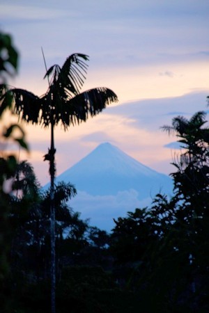 Waldgrundstck in Ecuador 70 km vom Sangay entfernt
