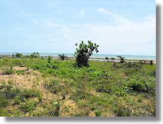 Grundstcke am Meer in Old Ningo in Ghana