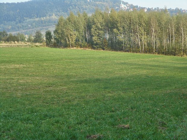 Wiese Baugrundstück bei Lanckorona Polen zum Kaufen Wiese Baugrundstück bei Lanckorona Polen zum Kaufen