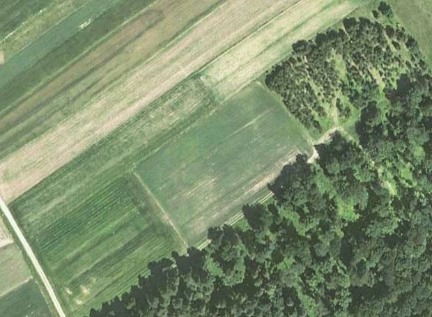 Wiesengrundstück Baugrundstück bei Wadowice Polen Wiesengrundstück Baugrundstück bei Wadowice Polen