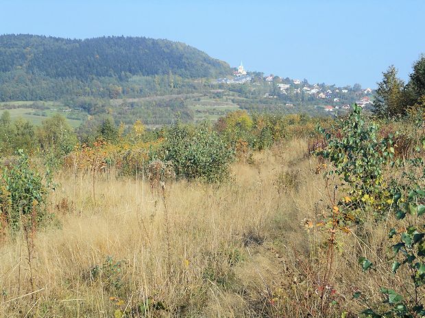 Ausblick vom Grundstück in Lesnica Wadowice Polen Ausblick vom Grundstück in Lesnica Wadowice Polen