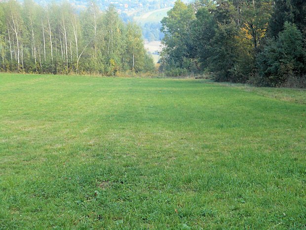 Waldgrundstück rechts angrenzend zum Wiesengrundstück Baugrundstück Waldgrundstück rechts angrenzend zum Wiesengrundstück Baugrundstück
