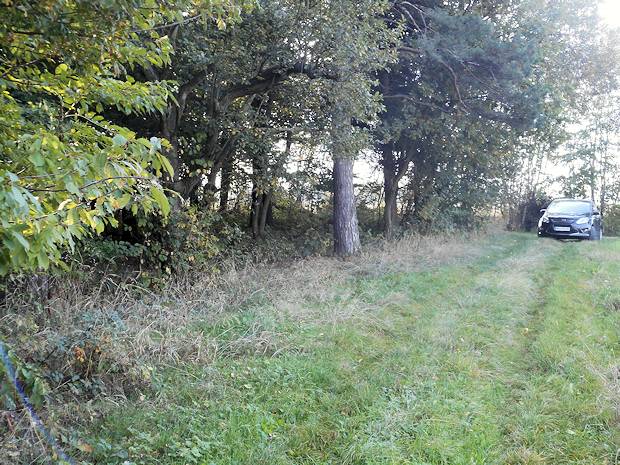 Waldgrundstück in Polen zum Kaufen Waldgrundstück in Polen zum Kaufen