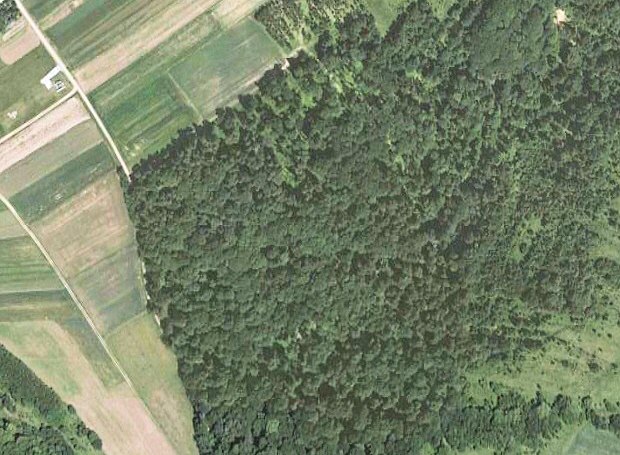 Waldgrundstück zum Ausbauhaus in Lesnica Kleinpolen Waldgrundstück zum Ausbauhaus in Lesnica Kleinpolen