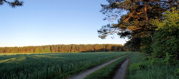 Grundstck am See in Polen