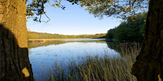 Grundstck mit See in den Masuren von Polen