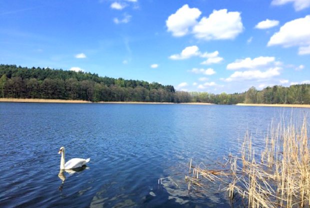 Seegrundstck in den Masuren von Polen zum Kaufen