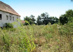 Grundstck bei Legnica Boleslawiec