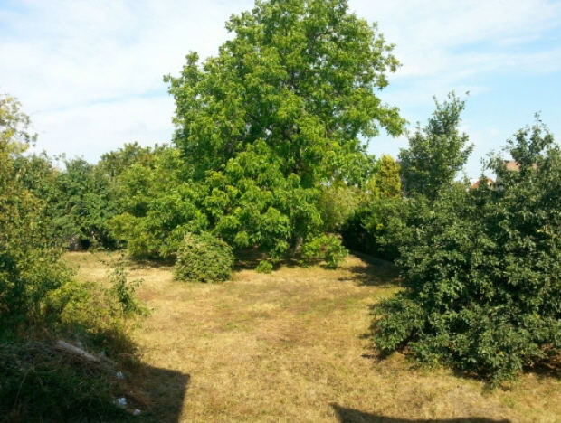 Grundstck Garten vom Ausbauhaus