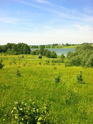 Grundstck bei Lidzbark Warminski Polen