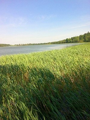 Seeanschluss vom Grundstck am Blanki