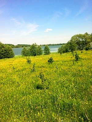 Seegrundstck bei Lidzbark Warminski