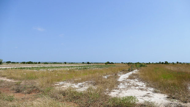 Bauland im District Dangme West von Ghana