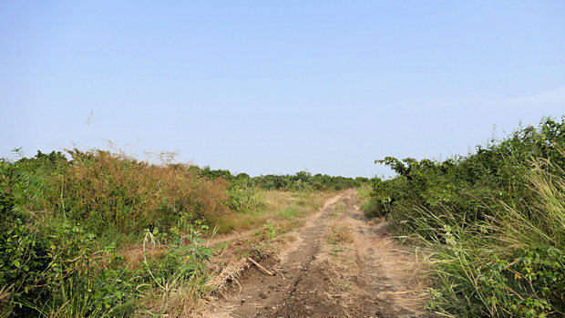 Baugrundst�cke in Afienya Ghana