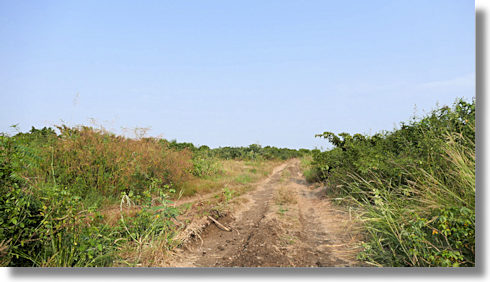 Grundst�cke in Afienya Greater Accra Ghana