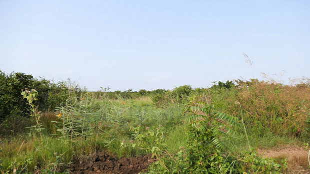 Bauland in Afienya Tema Prampram Ghana