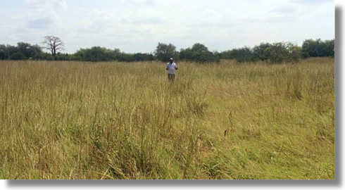 Miotso Grundstücke Ningo-Prampram Miotso Grundstücke Ningo-Prampram