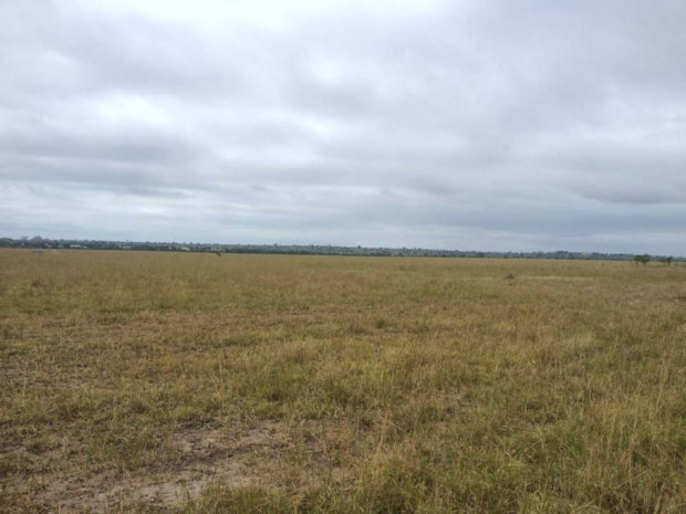 Bauland Larkpleku Greater Accra Bauland Larkpleku Greater Accra