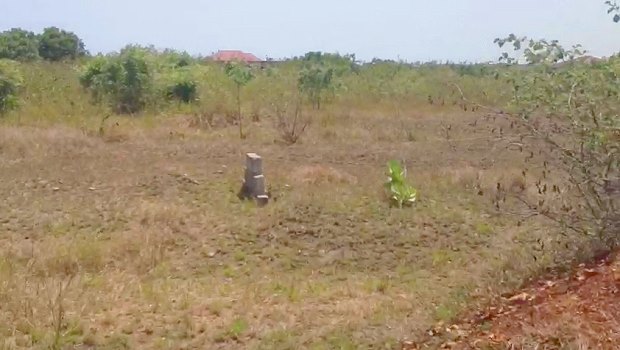 Baugrundst�ck f�r Einfamilienhaus in Dawhenya