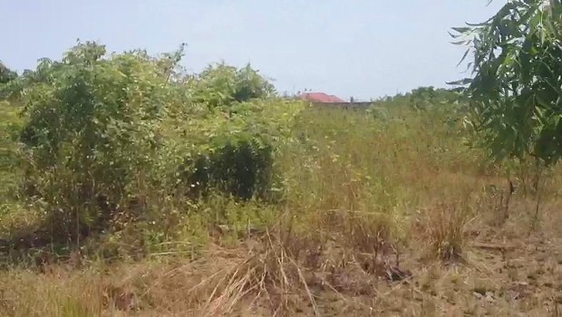 Baugrundst�ck unweit der Central University in Ghana