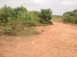 Stra�e zum Baugrundst�ck