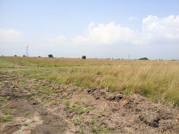 Grundst�cke Kopodor New Ningo Prampram Ghana