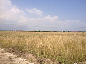 Bauland in Oshiopo Ghana