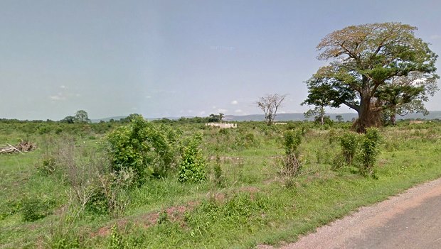 Baugrundst�ck zum Kaufen in Dodowa Sota