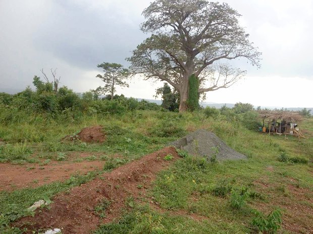 Bauland in Ghana zum Kaufen