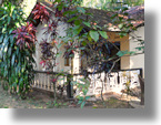 Ferienhaus in Sri Lanka zum Kaufen