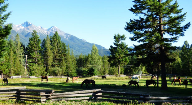 Pferdekoppel des Resorts in British Columbia