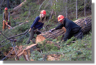 Forstbetrieb in British Columbia Canada zum Kaufen