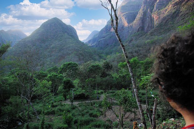 Grundst�ck mit Kaffeefarm in Bolivien