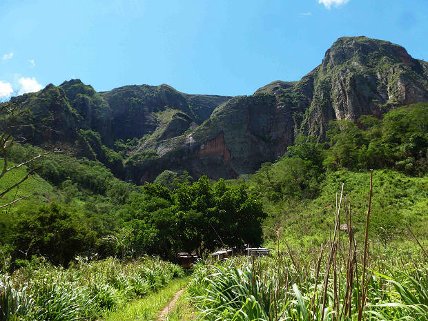 Grundst�ck mit Kaffeeplantage in Bolivien