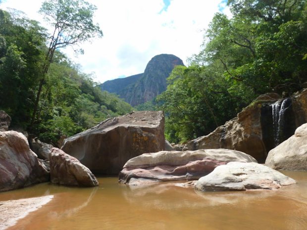 Bach Fluss im Naturgrundst�ck