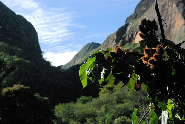 Berge im Naturgrundst�ck