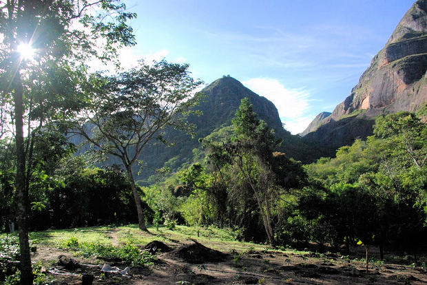 Naturgrundst�ck f�r Kaffeeanbau in Bolivien