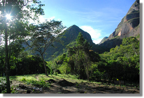 Grundst�ck Kaffeeplantage in Bolivien
