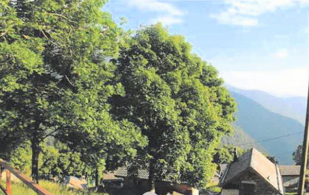 Ausblick vom Ferienhaus in den Bergen von Gambarogno