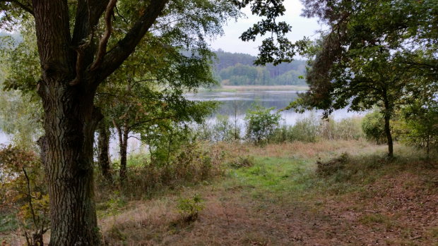 Zugang zum See bei Nowe Miasto Lubawskie