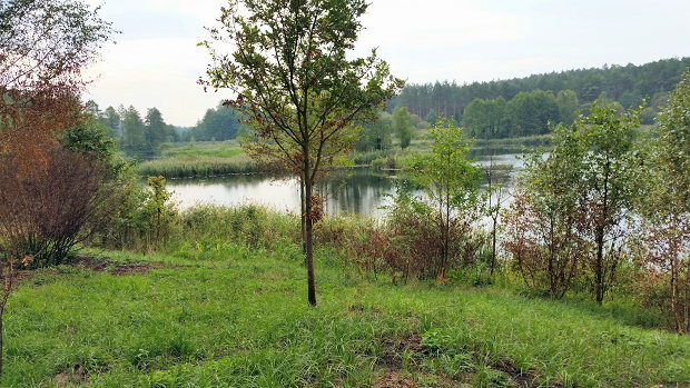 Seegrundstck fr Angler in den Masuren