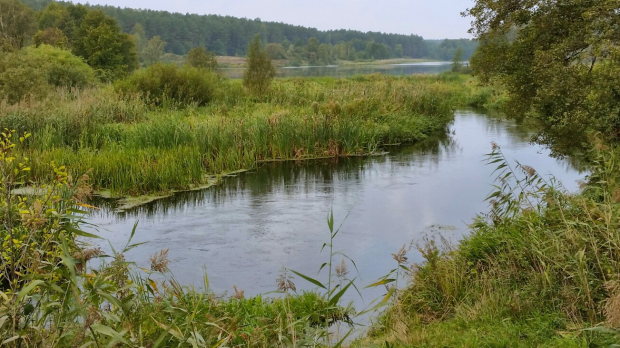 OErmland-Masuren Seegrundstck zum Kaufen