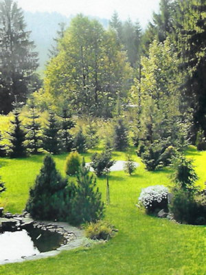 Teich im Garten der Villa