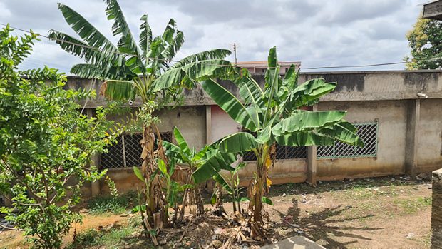 Baugrundstck in Kumasi Ghana