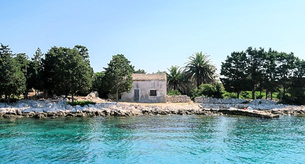 Olivenhain der Insel Male Orjule